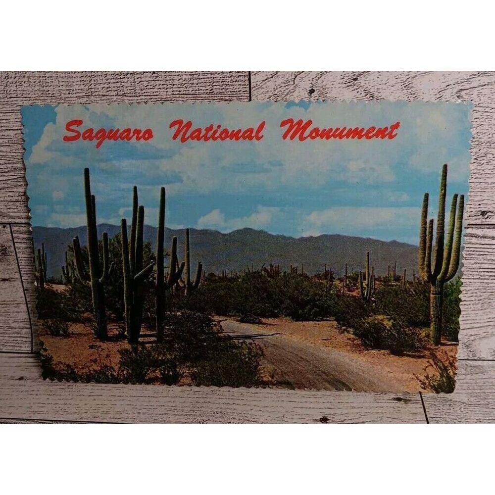VTG Postcard Saguaro Monument Tuscon Arizona Ephemera‎ Memorabilia Souvenir